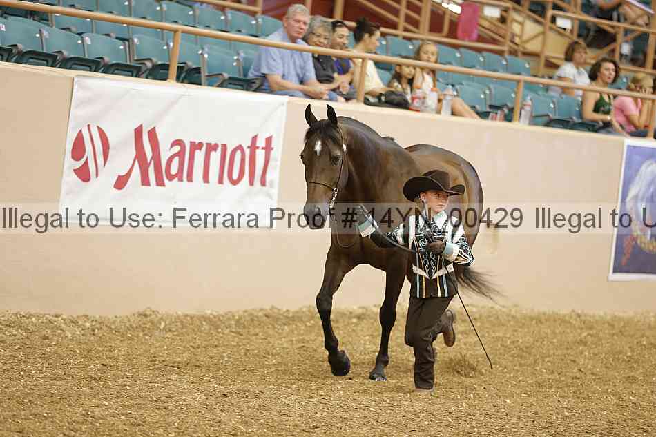 Proof 14yn_00429