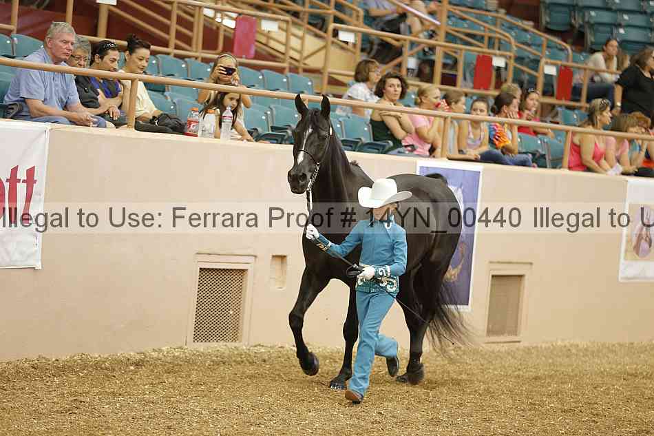 Proof 14yn_00440