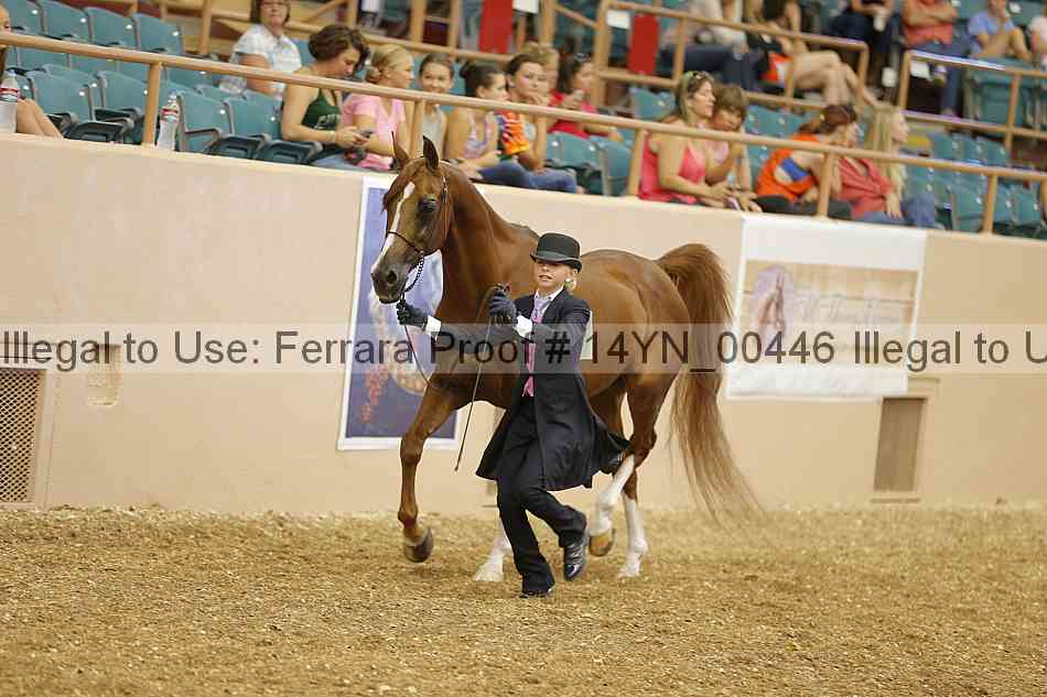 Proof 14yn_00446