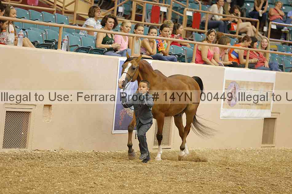 Proof 14yn_00449