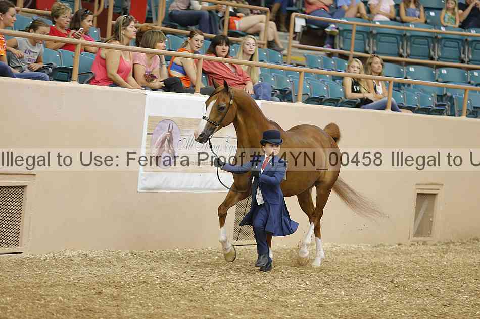 Proof 14yn_00458