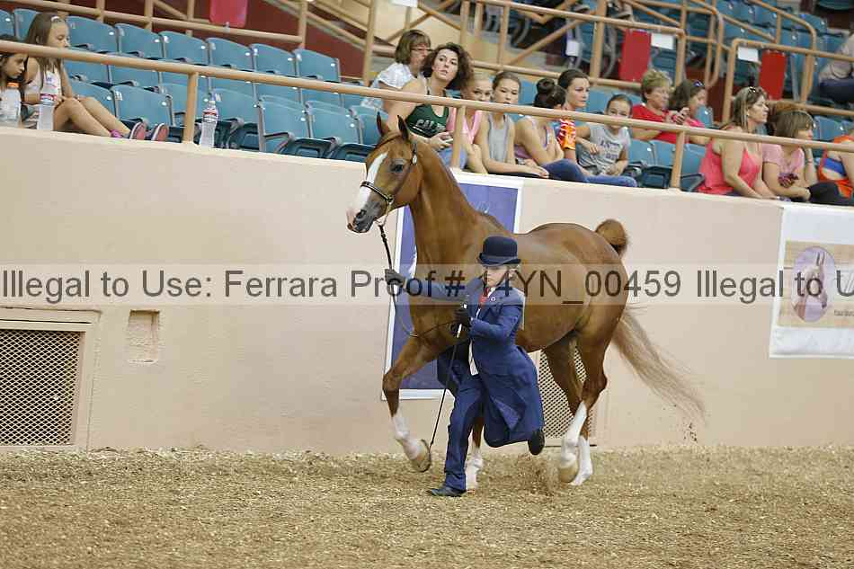 Proof 14yn_00459