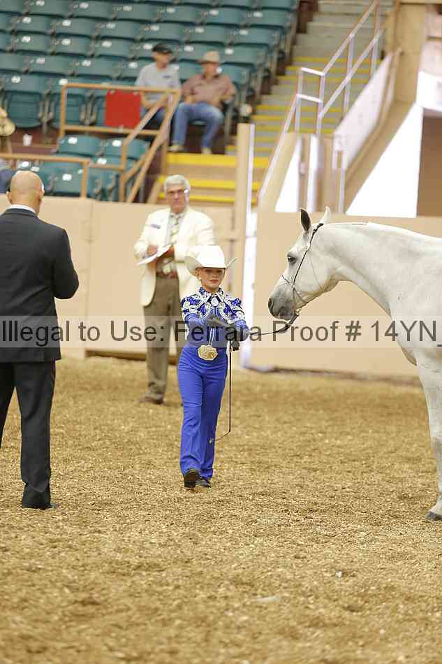 Proof 14yn_00466