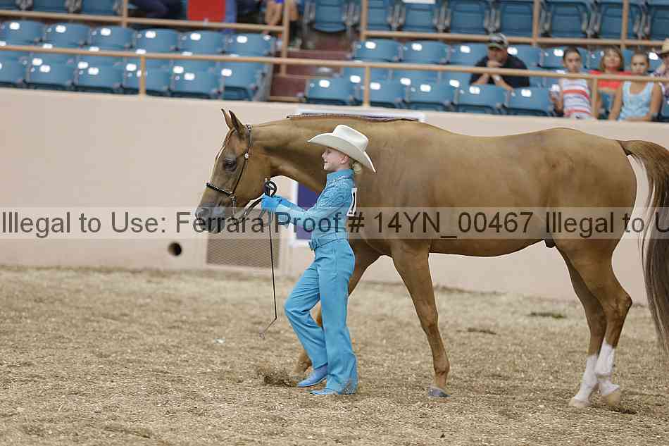Proof 14yn_00467