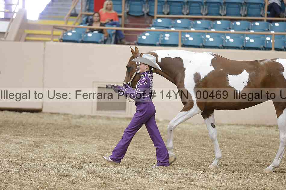 Proof 14yn_00469