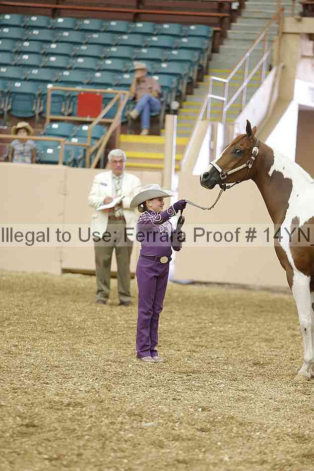 Proof 14yn_00470