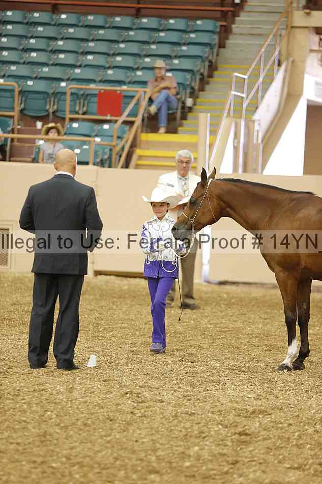 Proof 14yn_00475