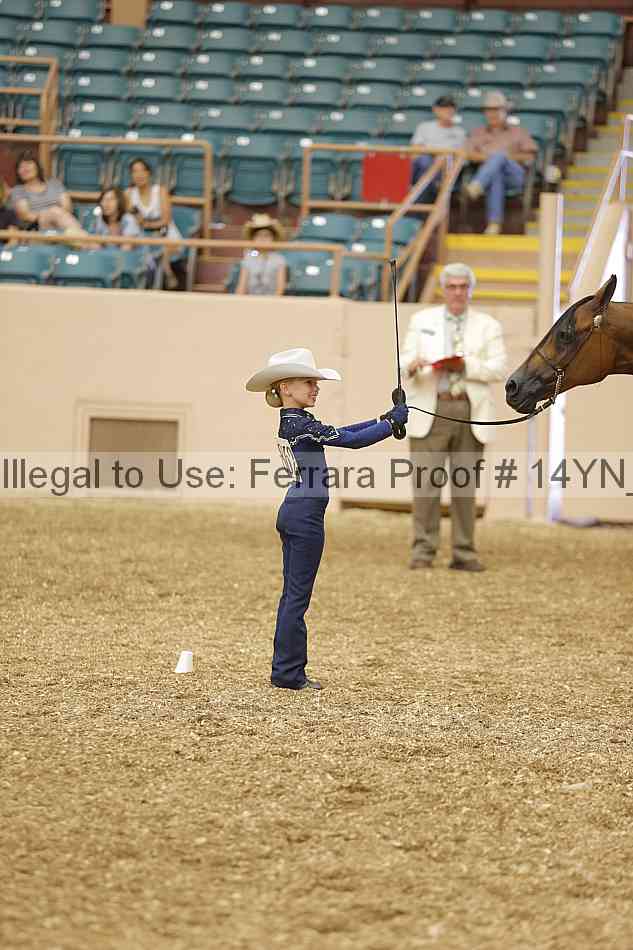 Proof 14yn_00478
