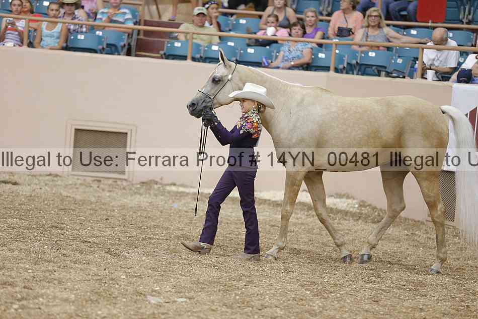 Proof 14yn_00481