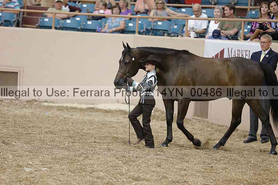Proof 14yn_00486
