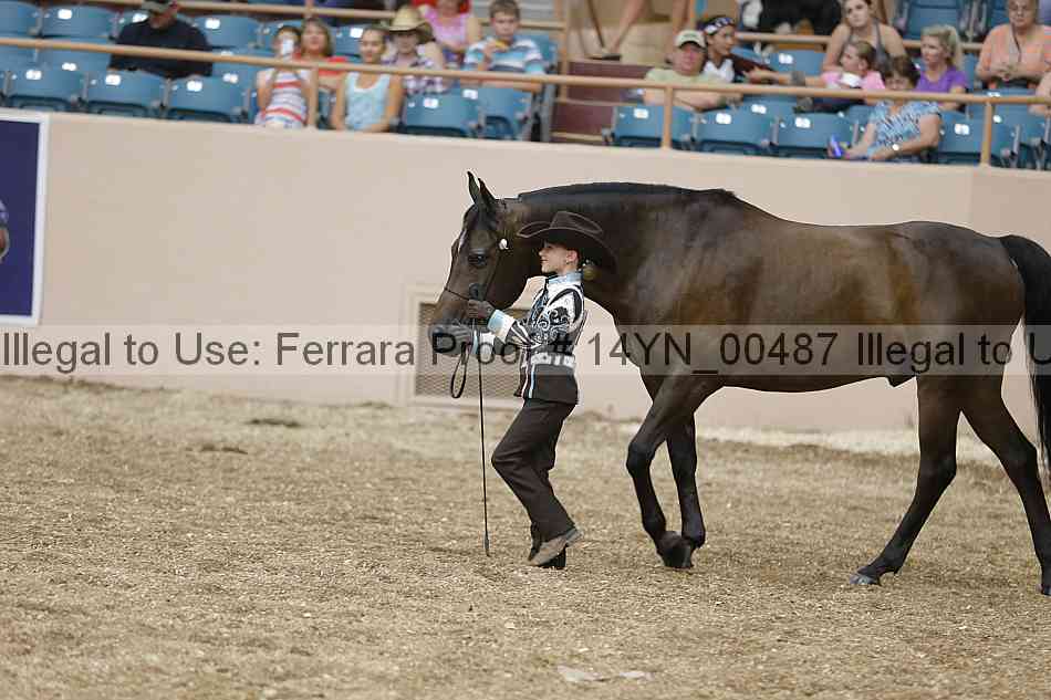 Proof 14yn_00487
