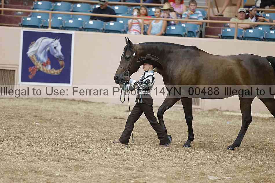 Proof 14yn_00488