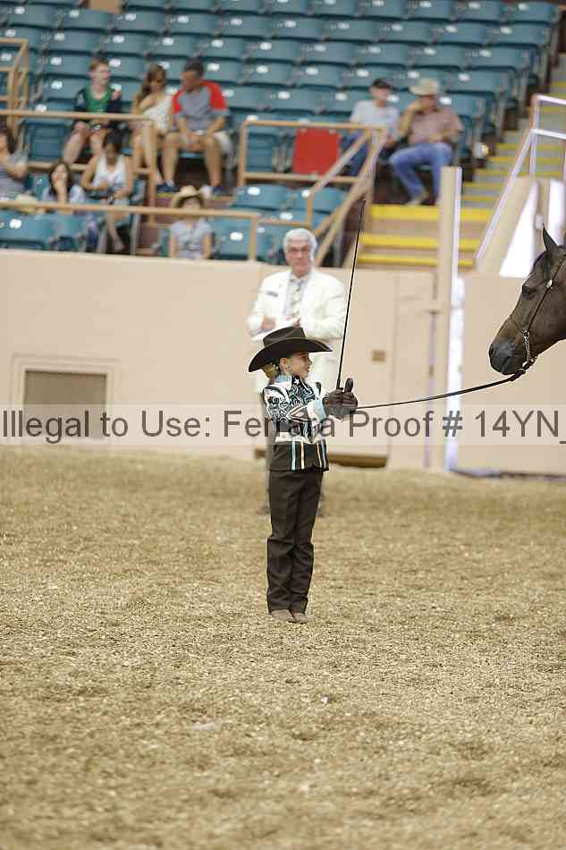 Proof 14yn_00489