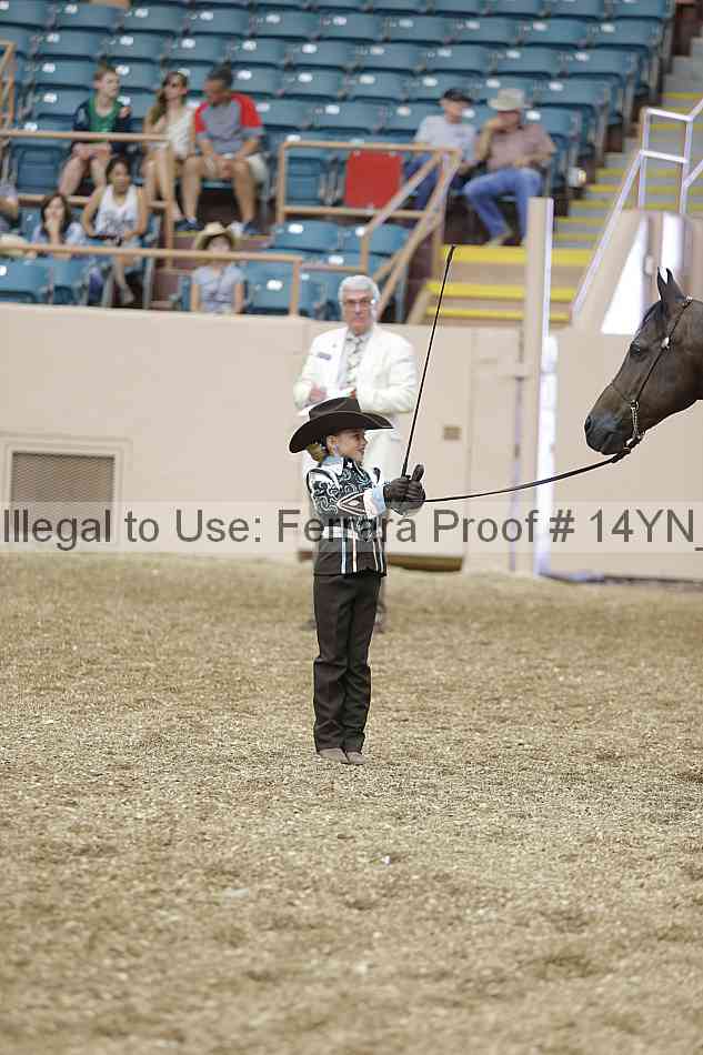 Proof 14yn_00490