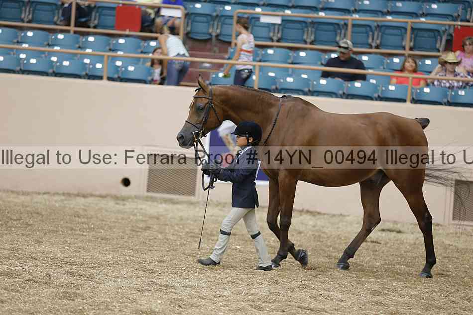 Proof 14yn_00494