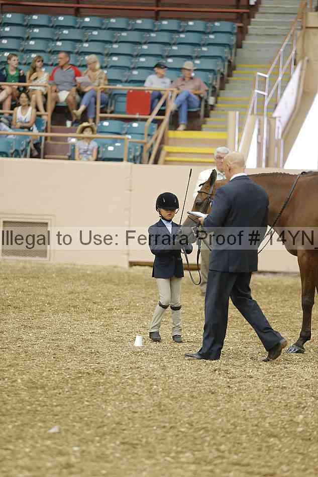 Proof 14yn_00495