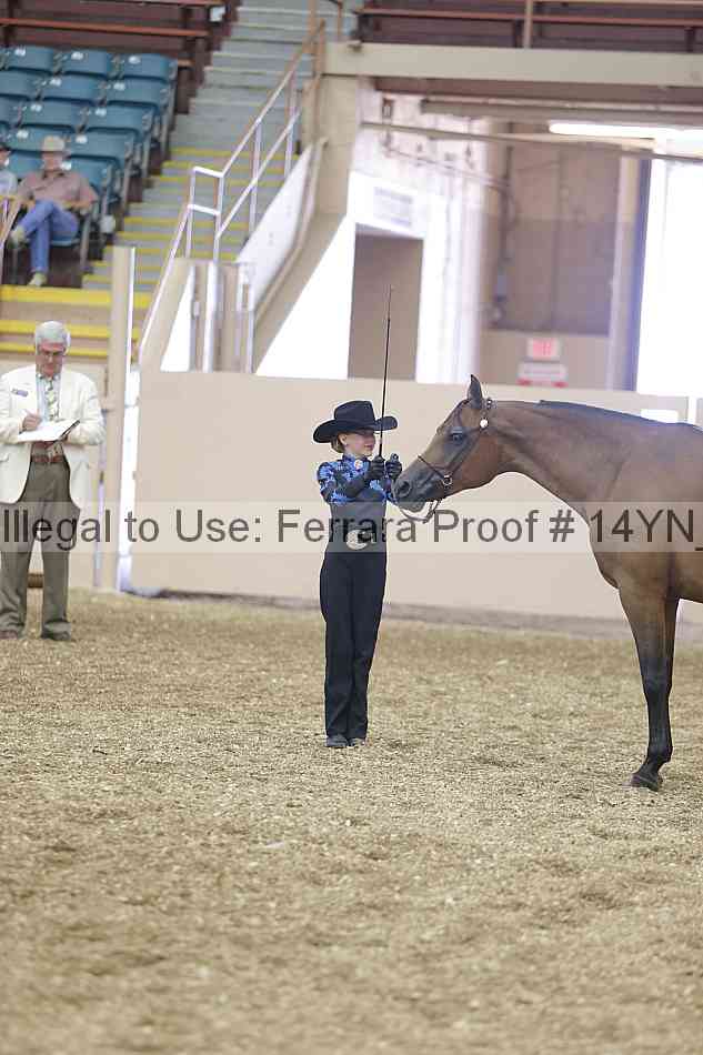 Proof 14yn_00496