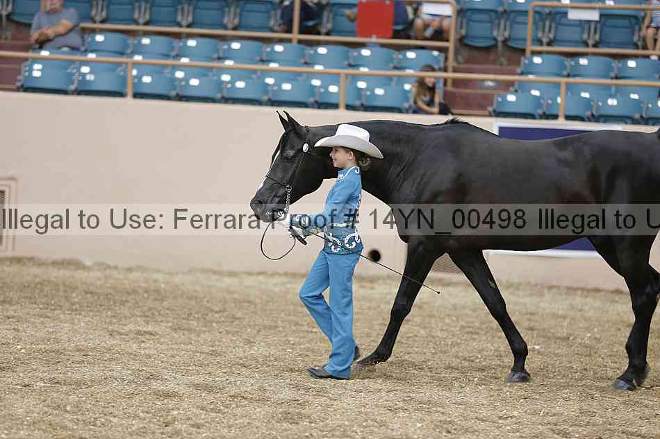 Proof 14yn_00498