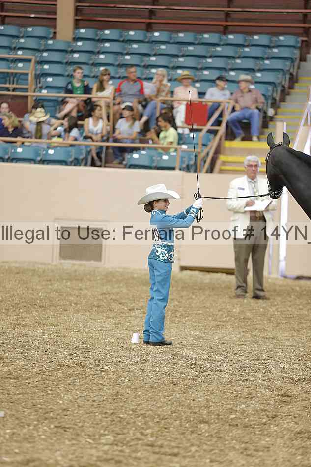 Proof 14yn_00499