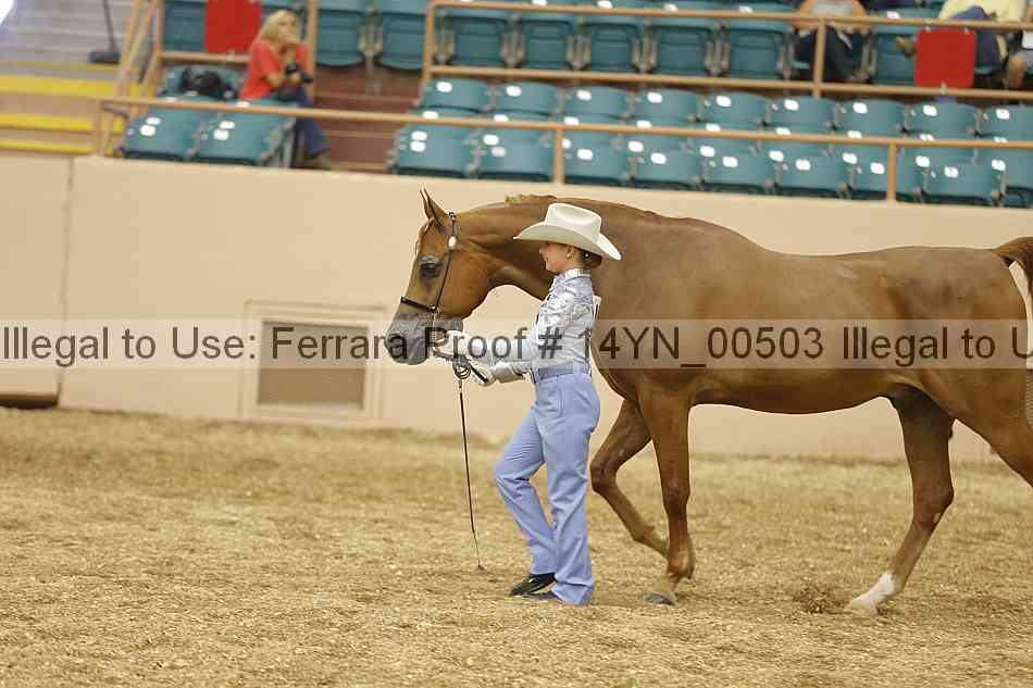 Proof 14yn_00503