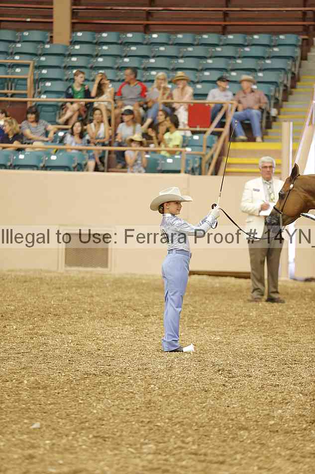 Proof 14yn_00504