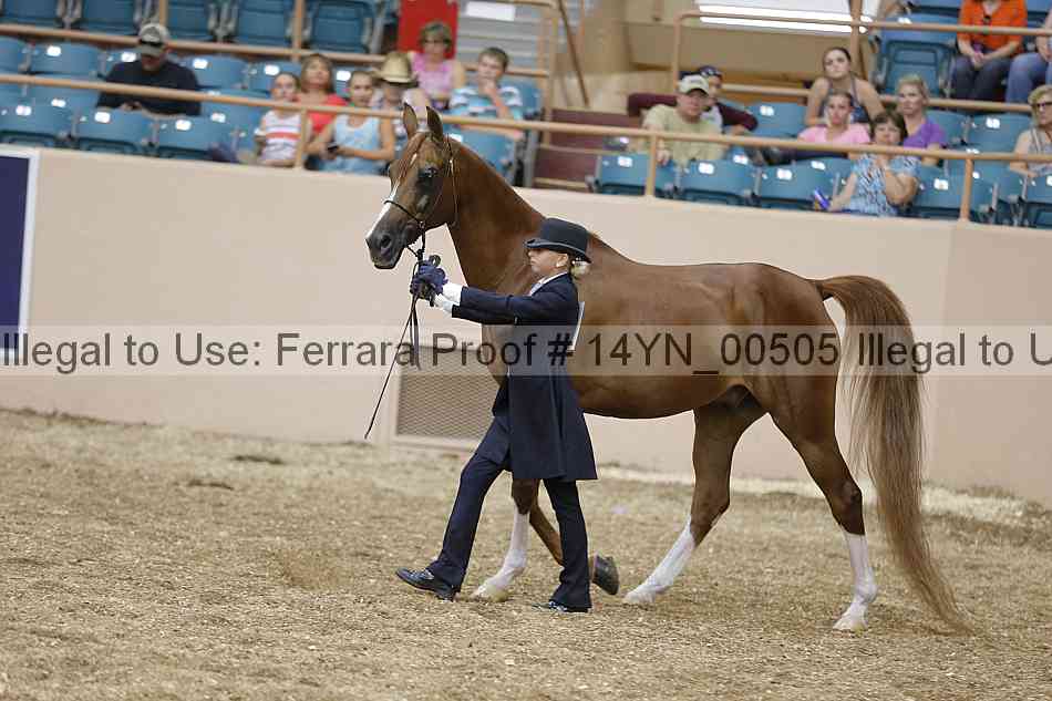 Proof 14yn_00505