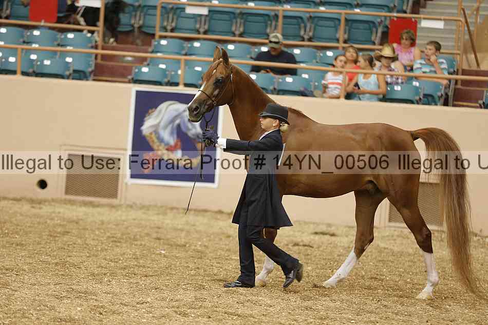 Proof 14yn_00506