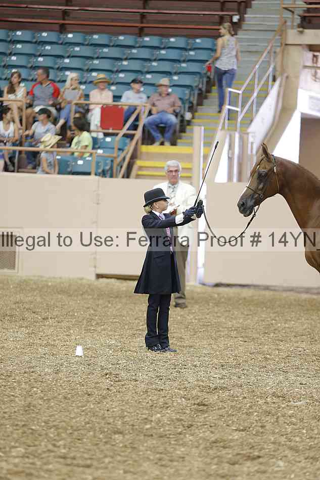 Proof 14yn_00507