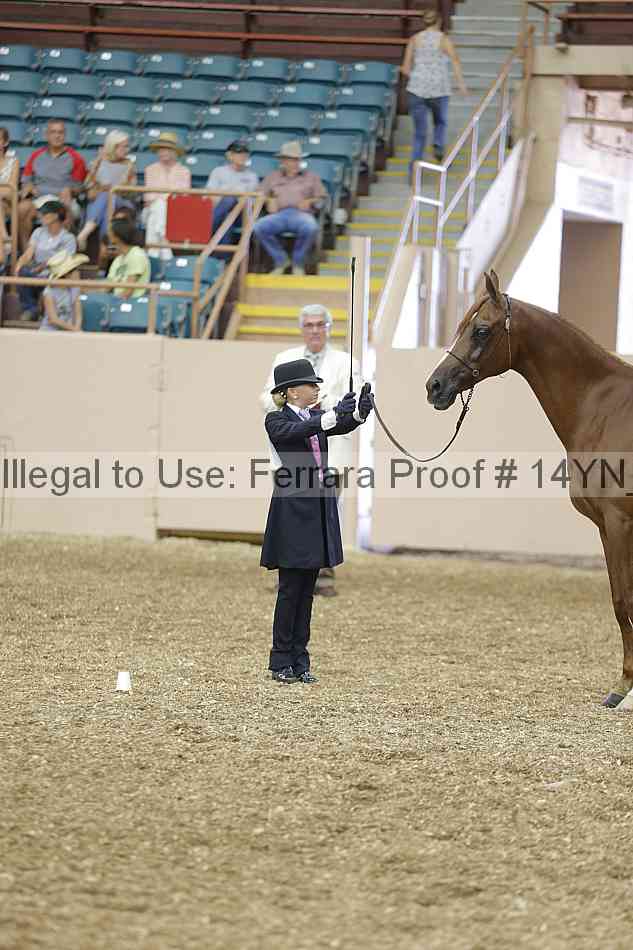 Proof 14yn_00508