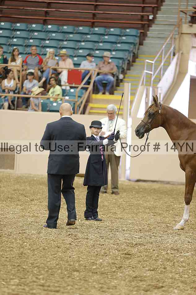 Proof 14yn_00509