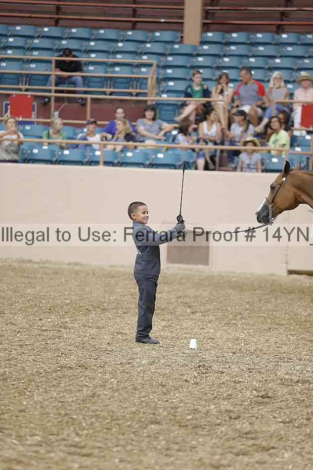 Proof 14yn_00515
