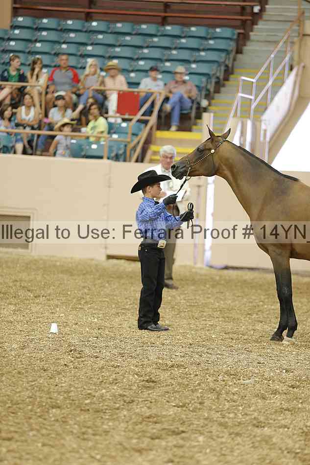 Proof 14yn_00519