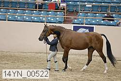 14yn_00522 proof