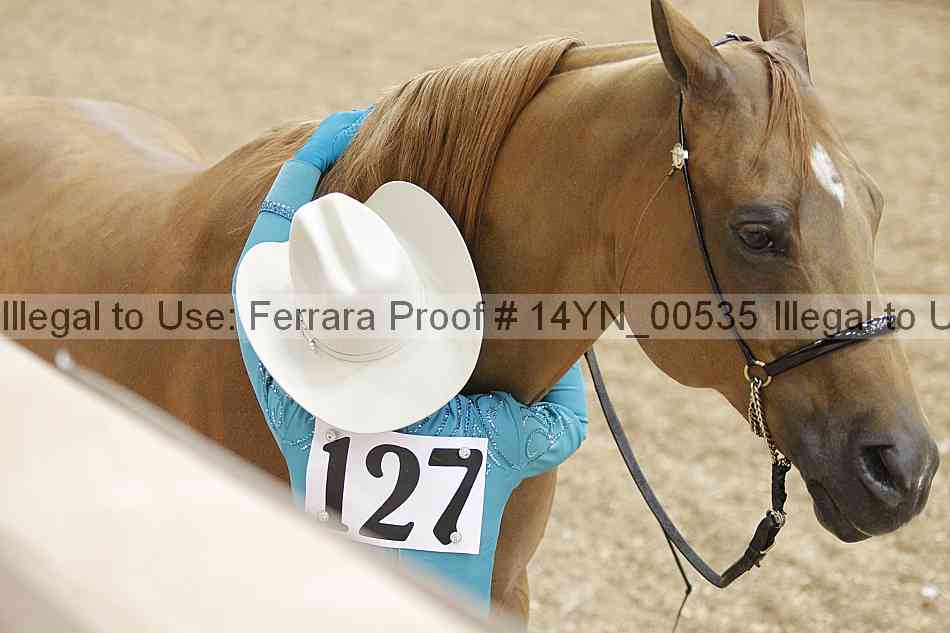 Proof 14yn_00535