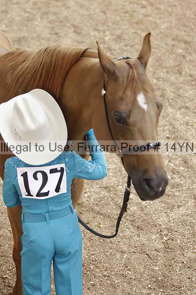 Proof 14yn_00536