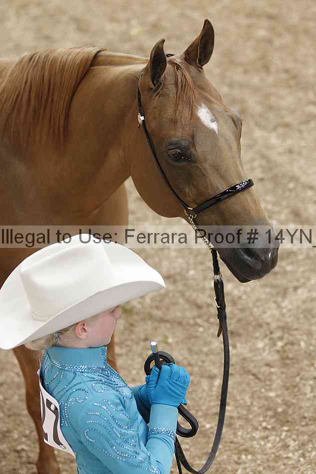 Proof 14yn_00539
