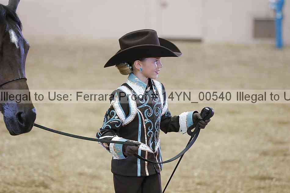 Proof 14yn_00540