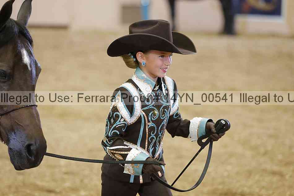 Proof 14yn_00541