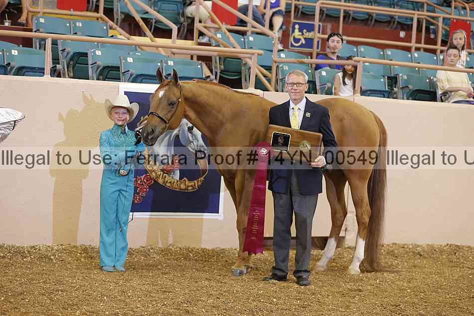 Proof 14yn_00549