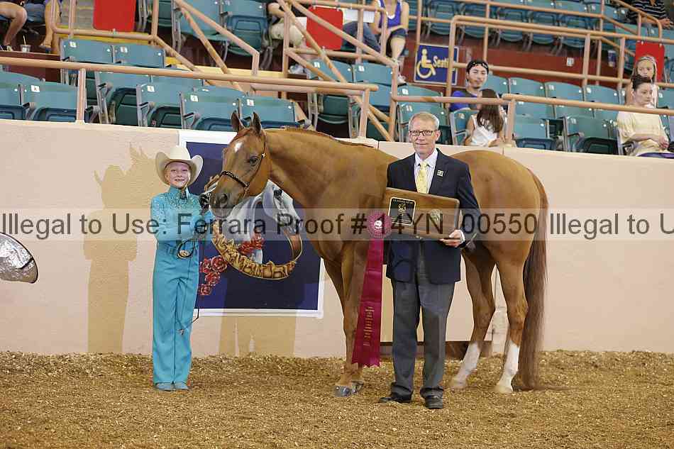 Proof 14yn_00550