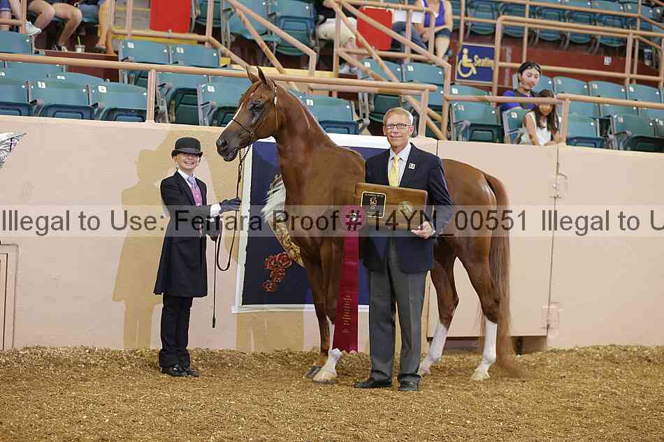 Proof 14yn_00551