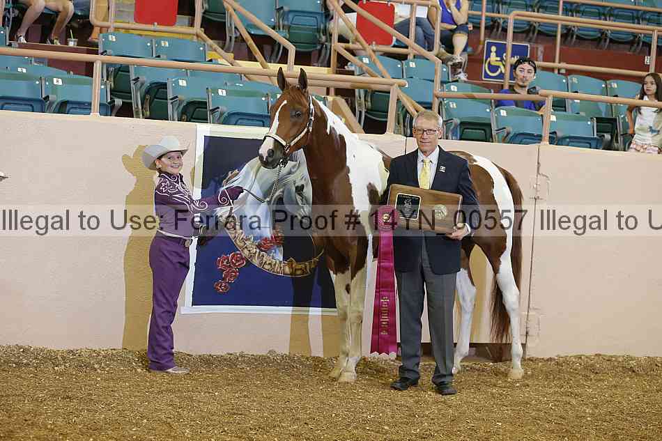 Proof 14yn_00557