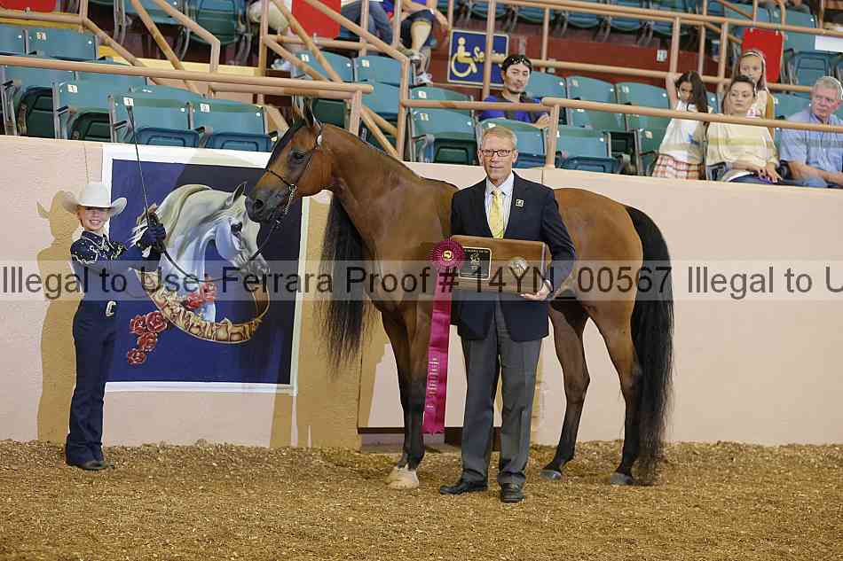 Proof 14yn_00567