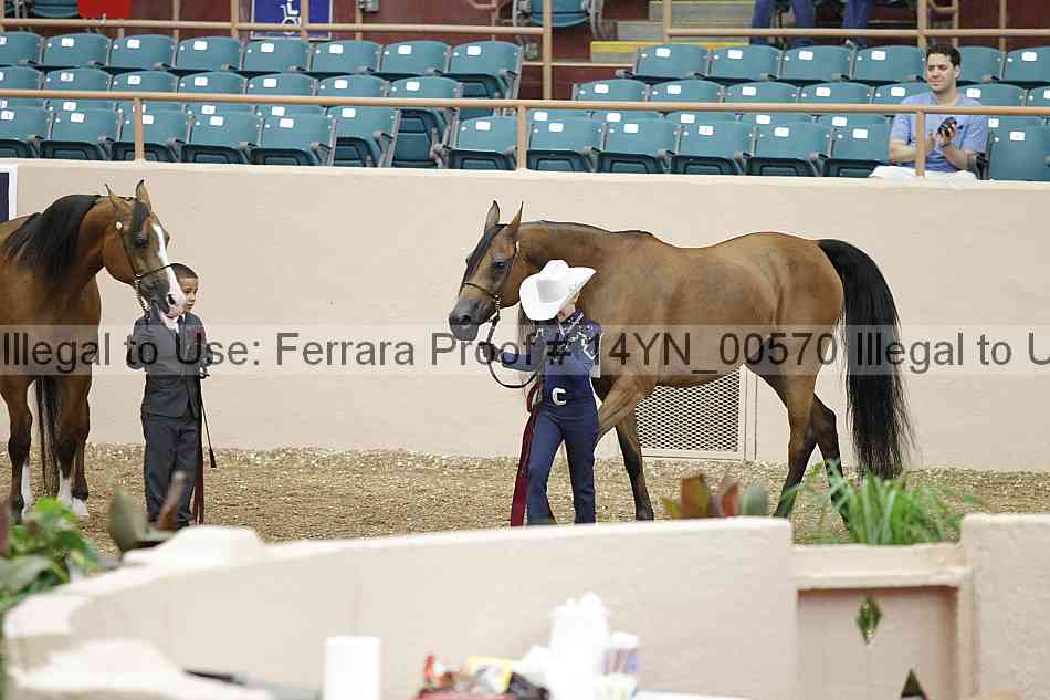 Proof 14yn_00570