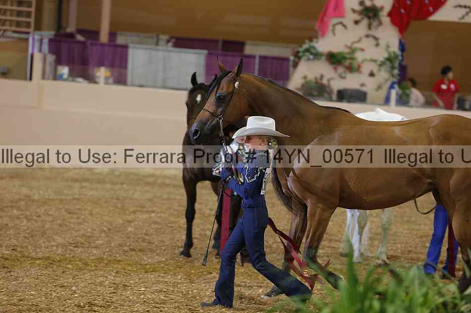 Proof 14yn_00571