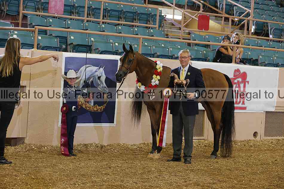 Proof 14yn_00577