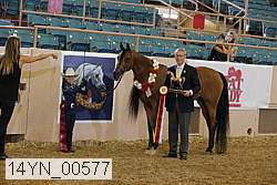 14yn_00577 proof