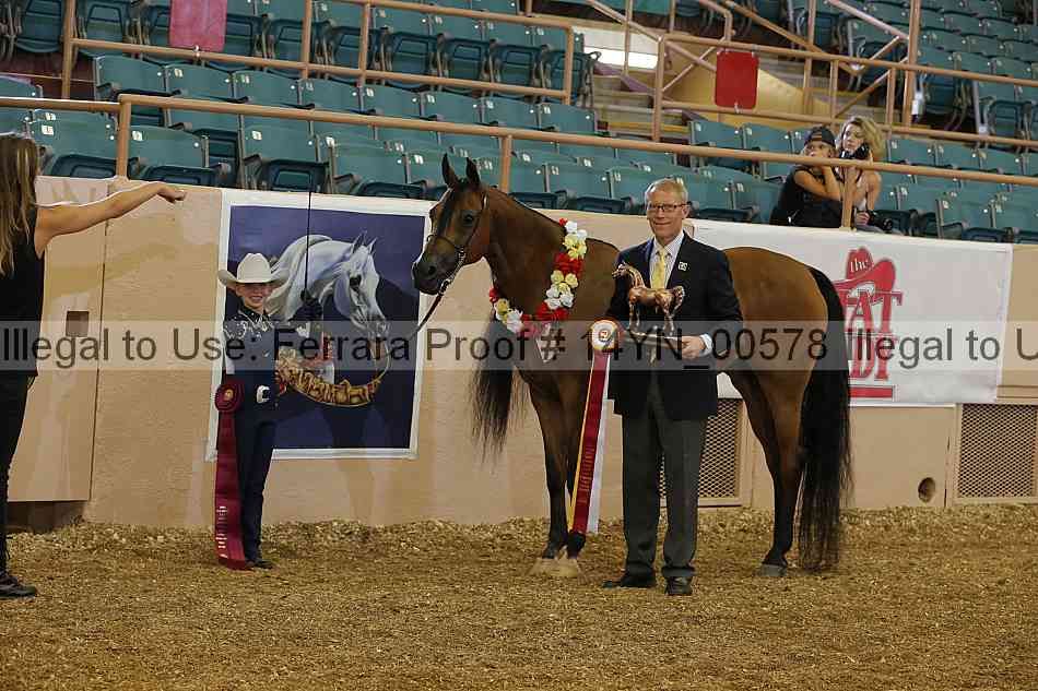 Proof 14yn_00578
