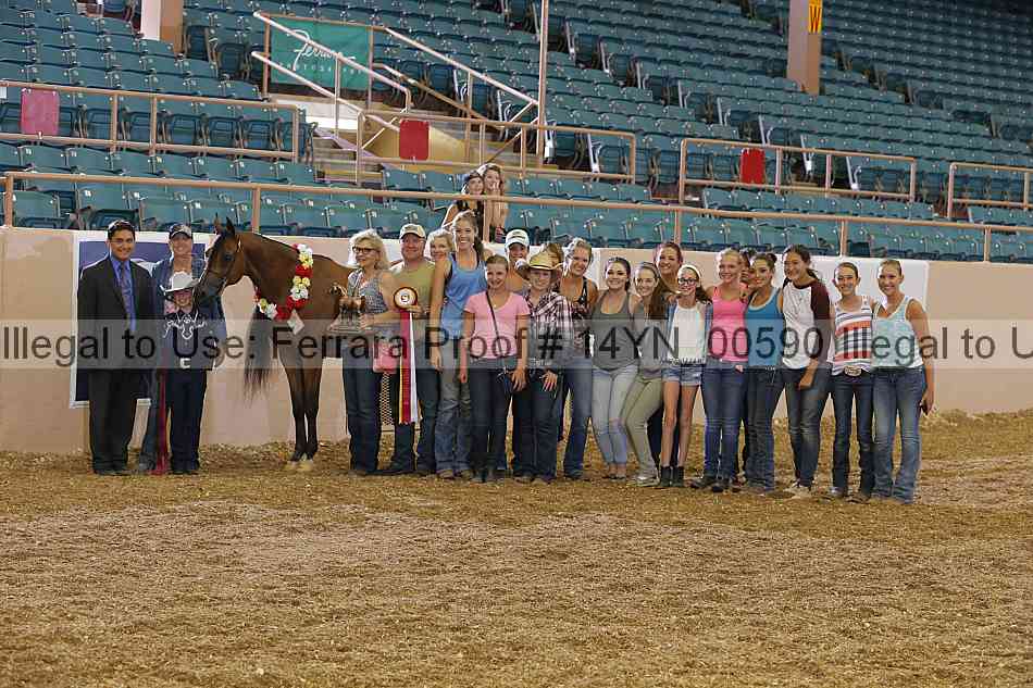 Proof 14yn_00590