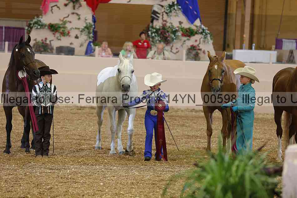 Proof 14yn_00598